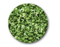FD Broccoli