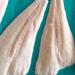 Yellowfin Sole Fillets