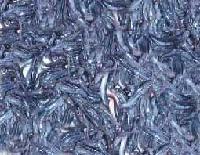 GEHUZI CATFISH