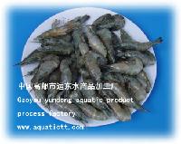 The Luos shrimp