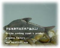 The bream