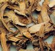dried Matsutake
