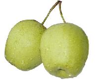  SNOW  PEAR