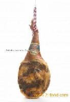 Serran shoulder