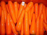 Fresh carrot-grade S
