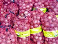 Red onion 20kg mesh bags packing China price supplier 21food