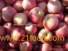 Qinguan Apple