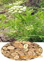  cnidium   monnieri   extract  ,osthole 10-98%