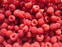 IQF RASPBERRY