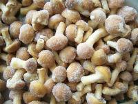 Frozen Viscid Mushroom