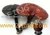 Reishi Mushroom Extract, Ganoderma Lucidum , Glossy Ganoderma---FD1011