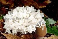 Tremella fuciformis extract, snow fungus extract