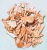 Dry crab shell