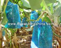 Banana  Tree   Bag 