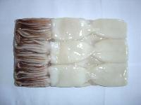 Illex  squid ,Loligo  squid   t ube, squid  ring, T & T   squid 