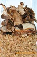 Mix Mushrooms and exotic rices