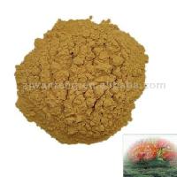 Reishi Polysaccharide