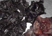 IQF black fungus