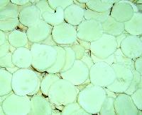 IQF water chestnuts
