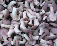  IQF   Mushroom s