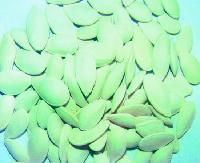 Snow white pumpkin seeds