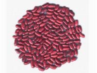 dark red kidney beans