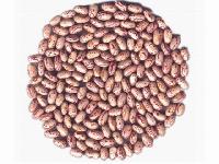 light speckled kidney beans(oval shape)
