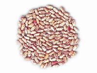  light   speckled  kidney  beans 