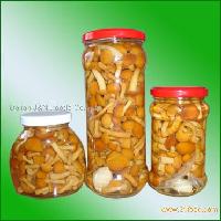  Nameko 