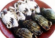 Swimming crab