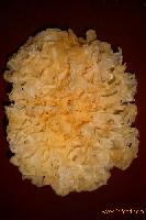 Dried sliver  ear   fungus 
