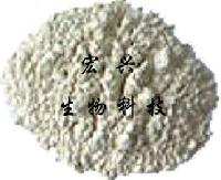 rice protein