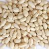Blanched Peanut Kernels