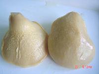 Canned Bailing Mushroom