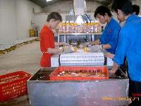 Food drying equipment