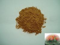 Maitake powder