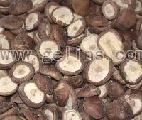 Shiitake Mushroom