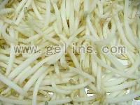 Bean Sprout