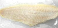 Frozen Catfish Fillets