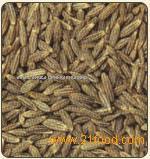 Cumin Seeds