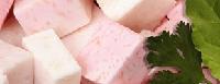 Colocasia