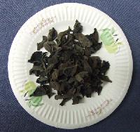 Black fungi