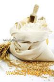 Wheat Flour
