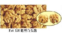 light half (1/2) walnut kernel