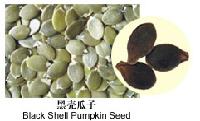 black shell pumpkin seed