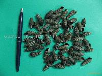 11-Cooked Sea Melaina Snail