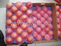 Qin guan apple1