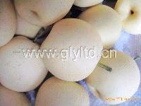 Gold  king  pear