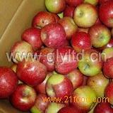  Jiguan  Apple