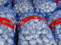 10kg/20kg/mesh bag garlic